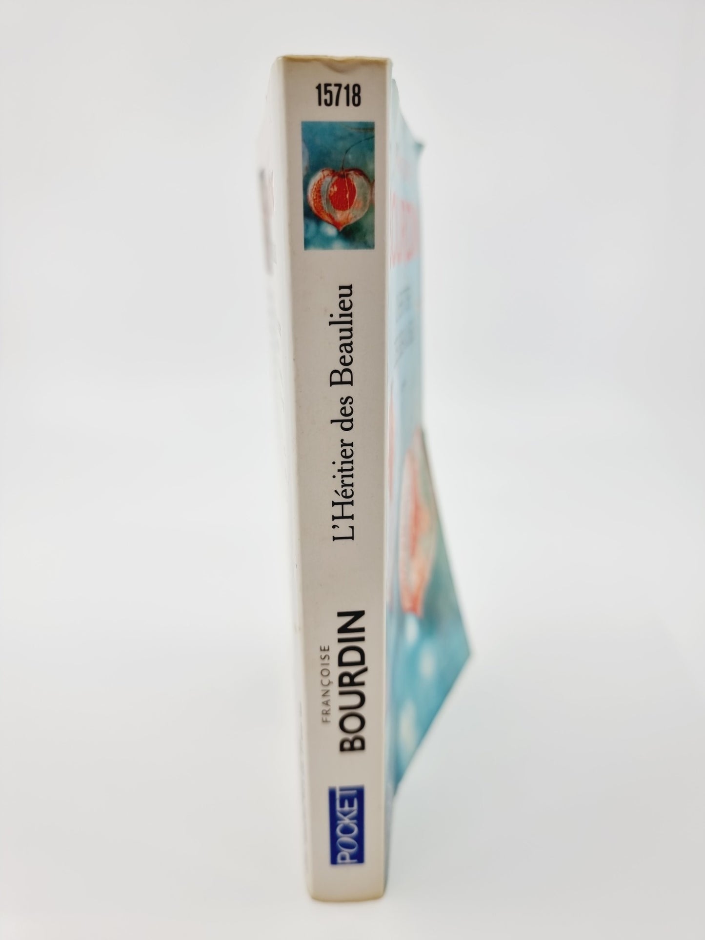 Livre - L'Héritier des Beaulieu