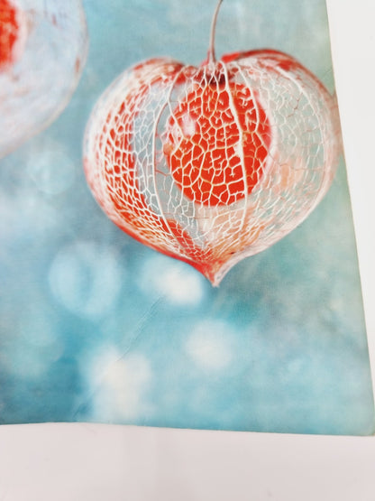 Livre - L'Héritier des Beaulieu