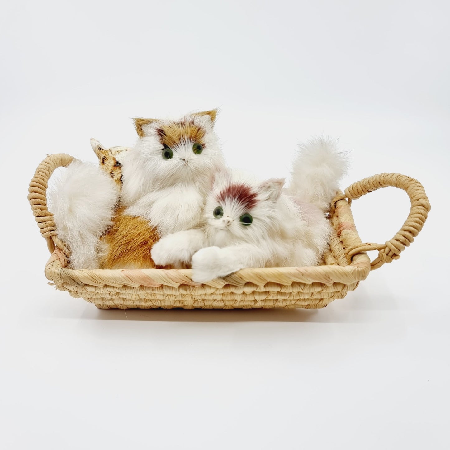 Famille de chats poilus avec leur panier (Modèle n°1)