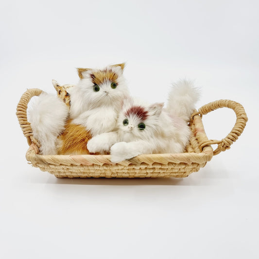 Famille de chats poilus avec leur panier (Modèle n°1)