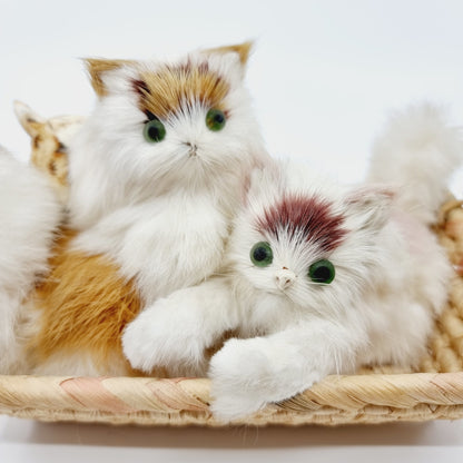 Famille de chats poilus avec leur panier (Modèle n°1)