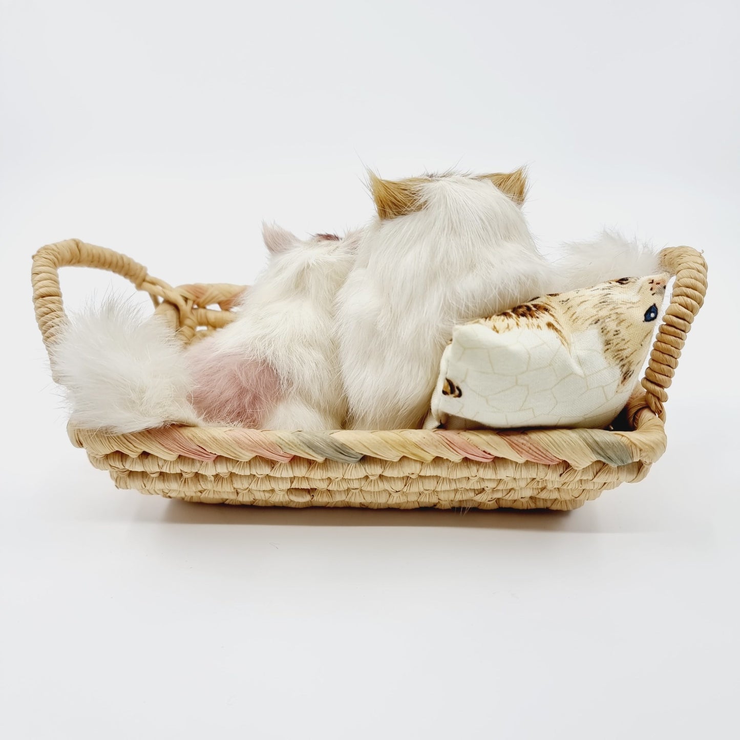 Famille de chats poilus avec leur panier (Modèle n°1)