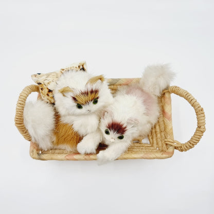 Famille de chats poilus avec leur panier (Modèle n°1)