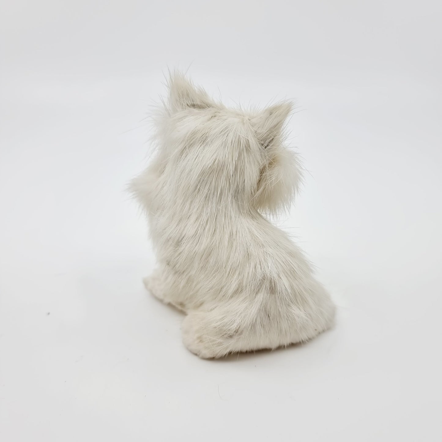 Petit chat blanc poilu (Modèle n°82)