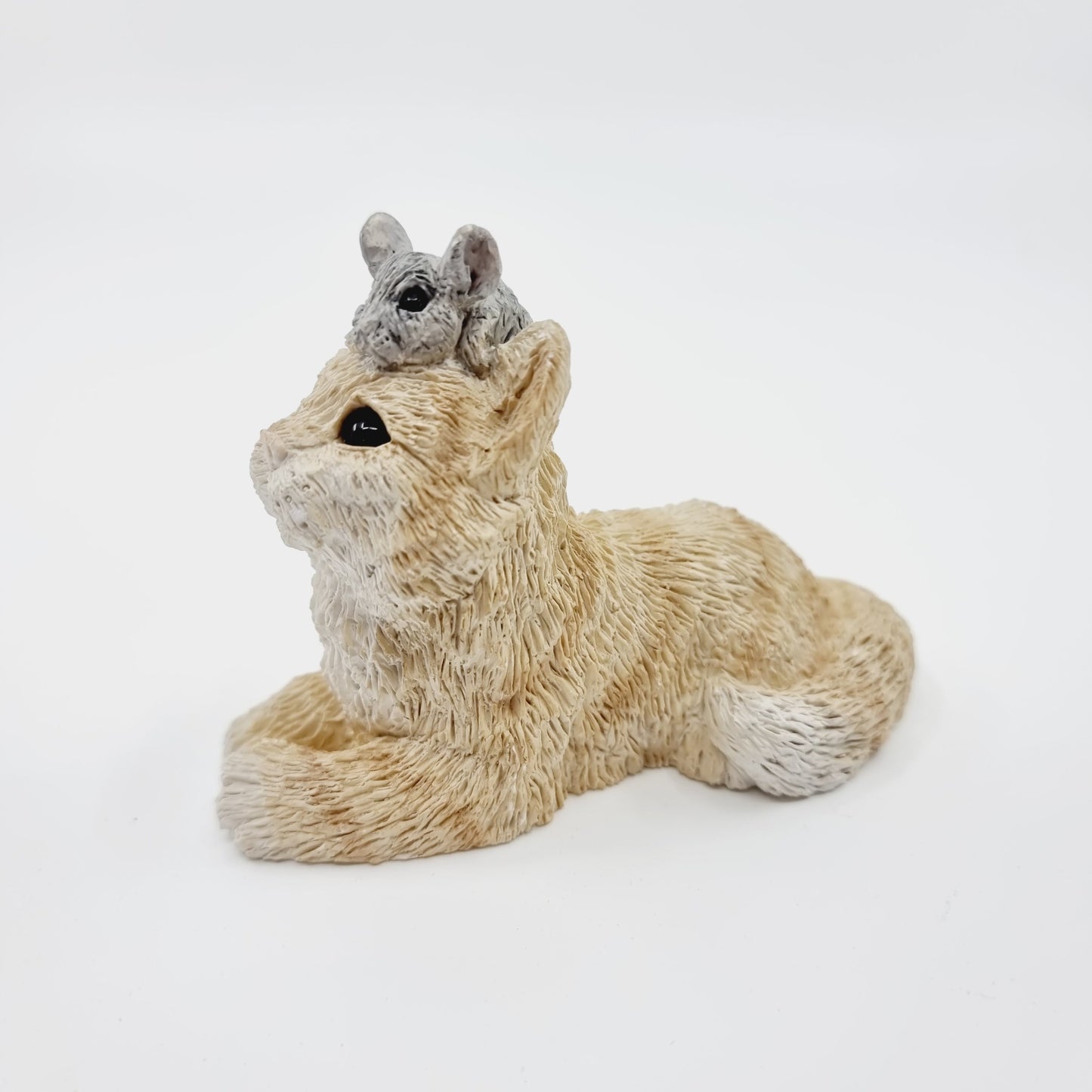 Cat and mouse (Modèle n°5)