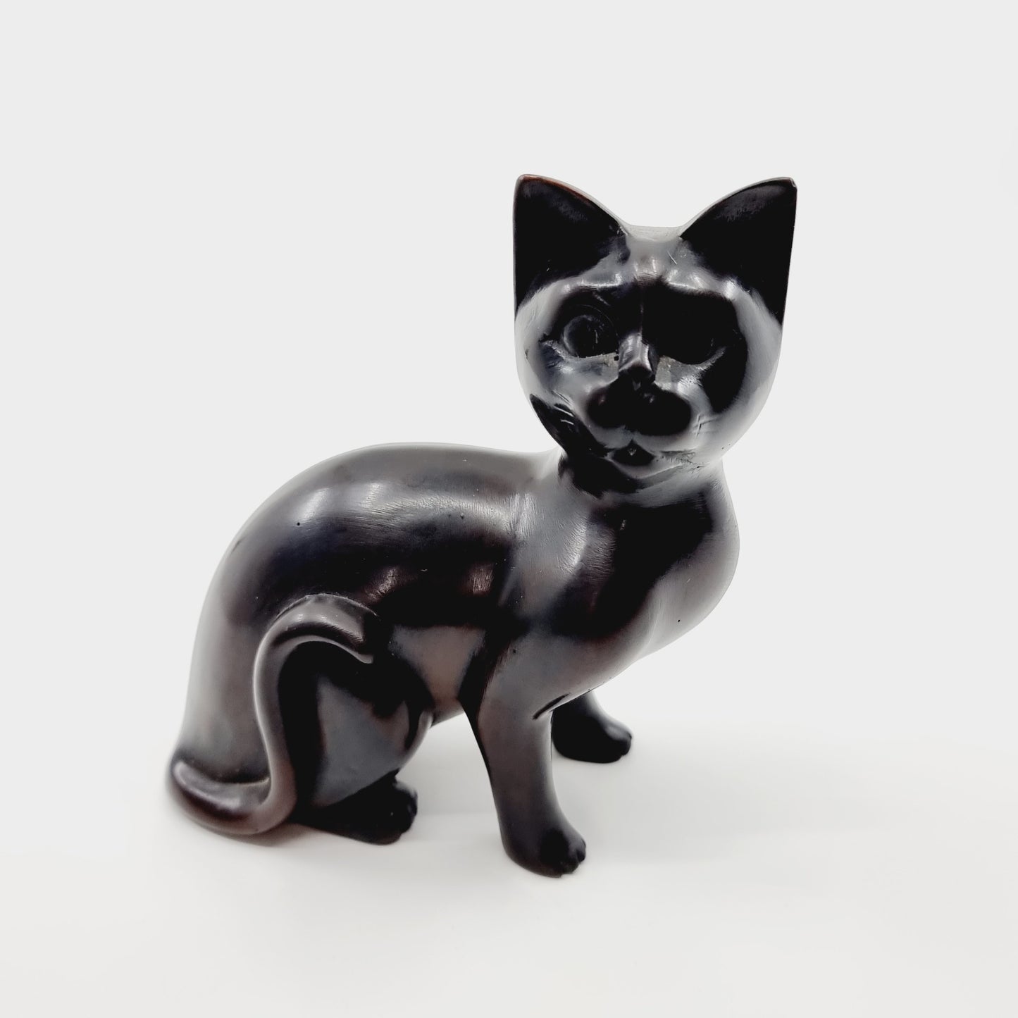 Chat tout noir (Modèle n°26)