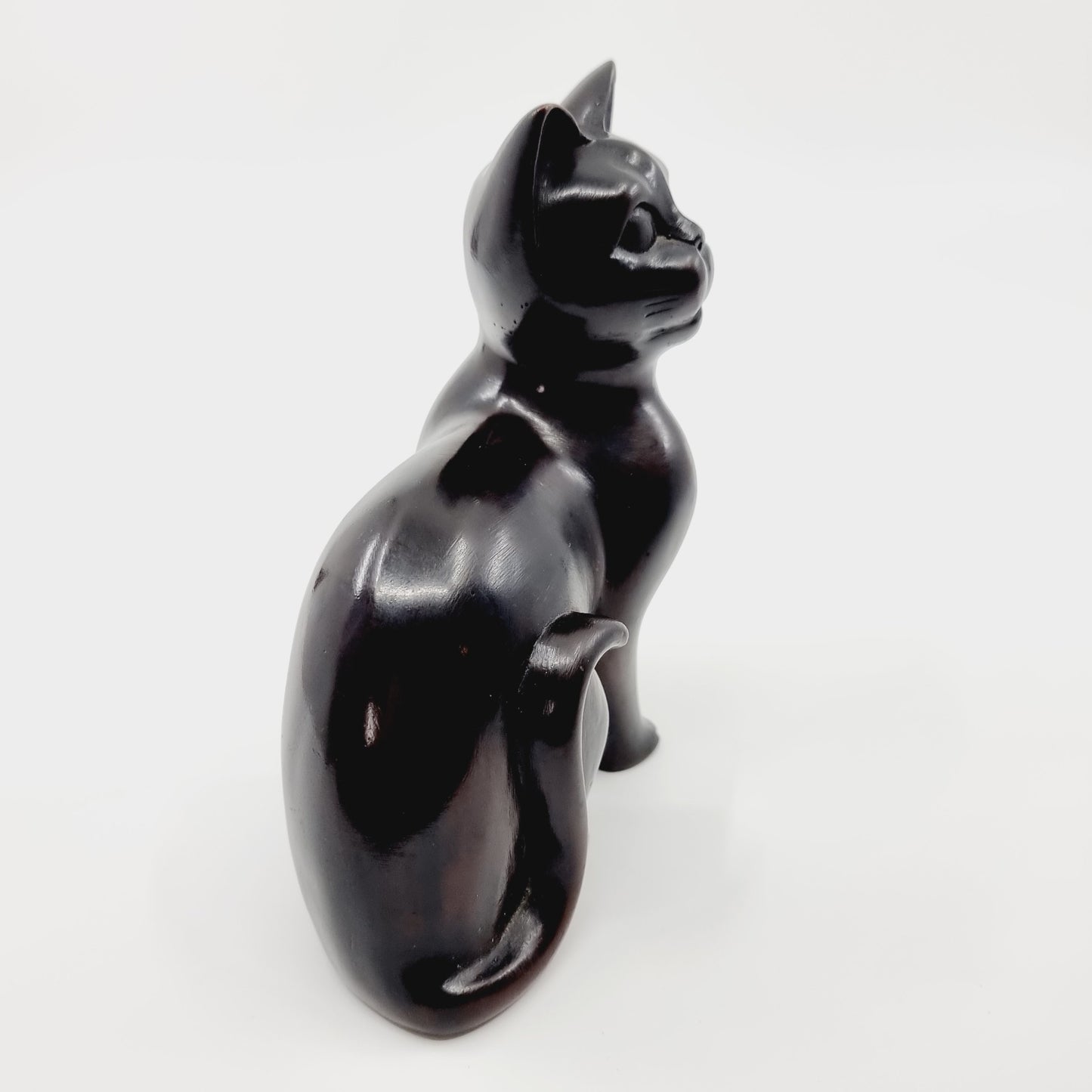 Chat tout noir (Modèle n°26)