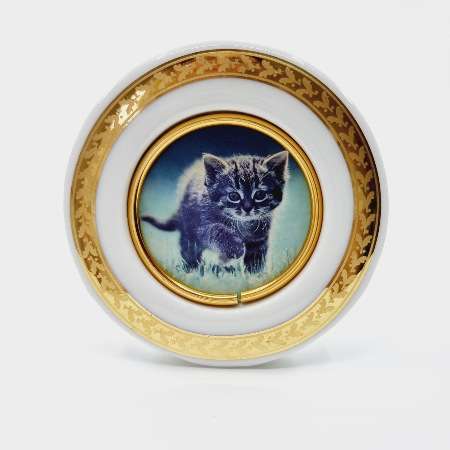 Assiette décorative en porcelaine - photo de chat (Modèle n°48)