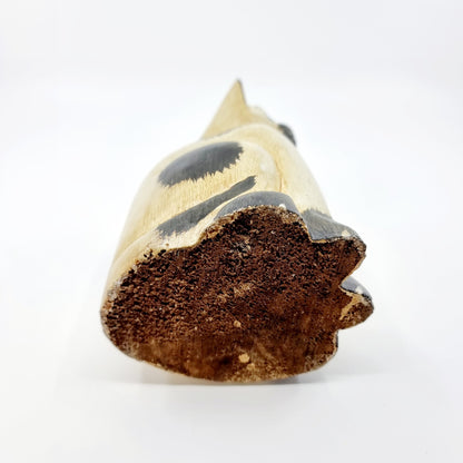 Chat beige & noir aux yeux bleus (Modèle n°65)