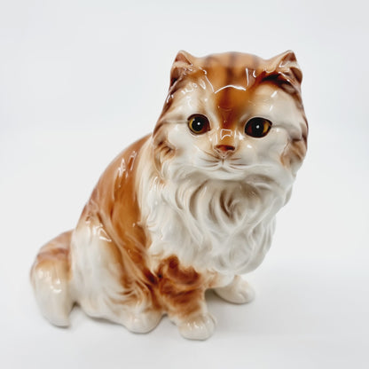 Chat roux aux longs poils (Modèle n°55)