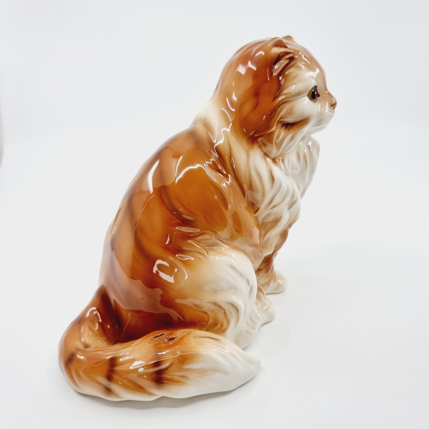 Chat roux aux longs poils (Modèle n°55)