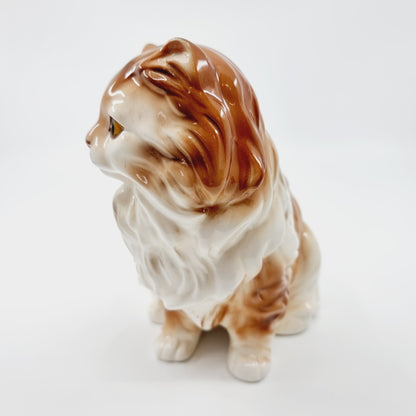 Chat roux aux longs poils (Modèle n°55)