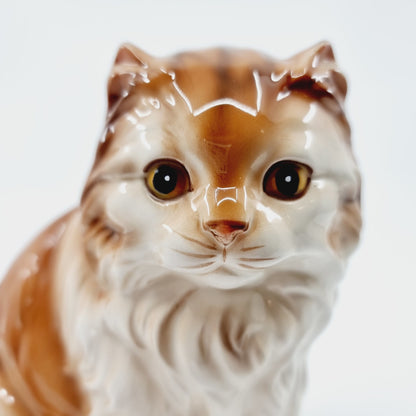 Chat roux aux longs poils (Modèle n°55)