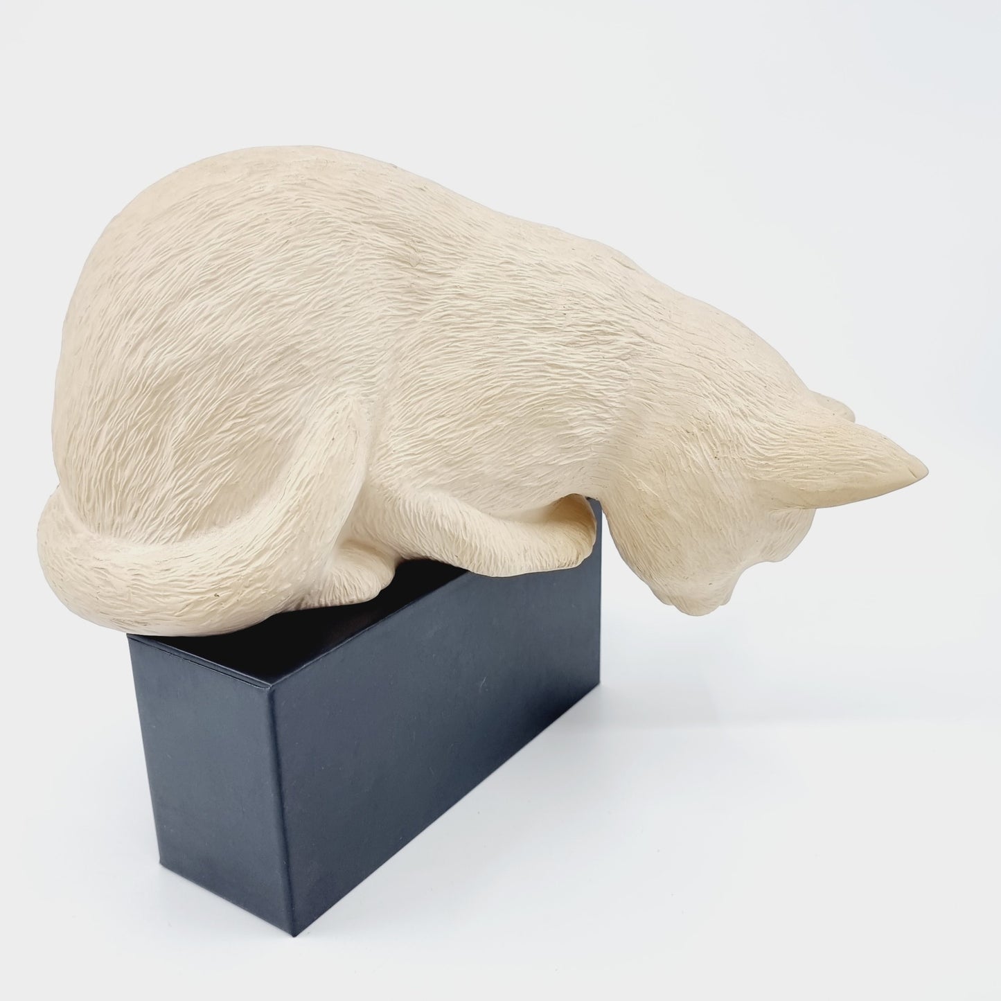 Chat curieux pour rebord (Modèle n°51)