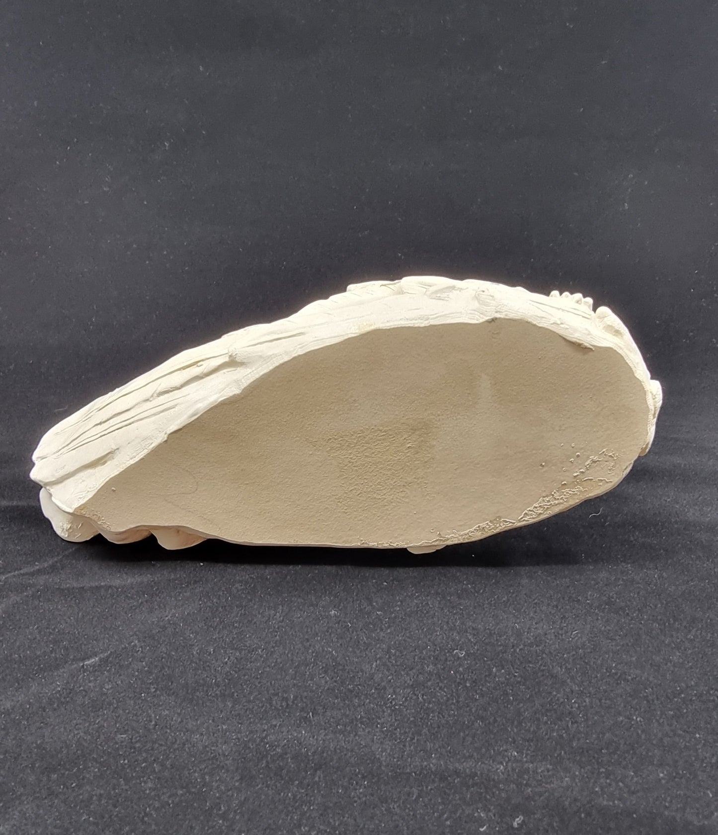 Ange endormi sur ses plumes