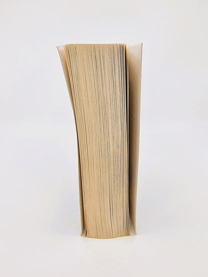 Livre - Tentation, Saga Twilight (tome 2)