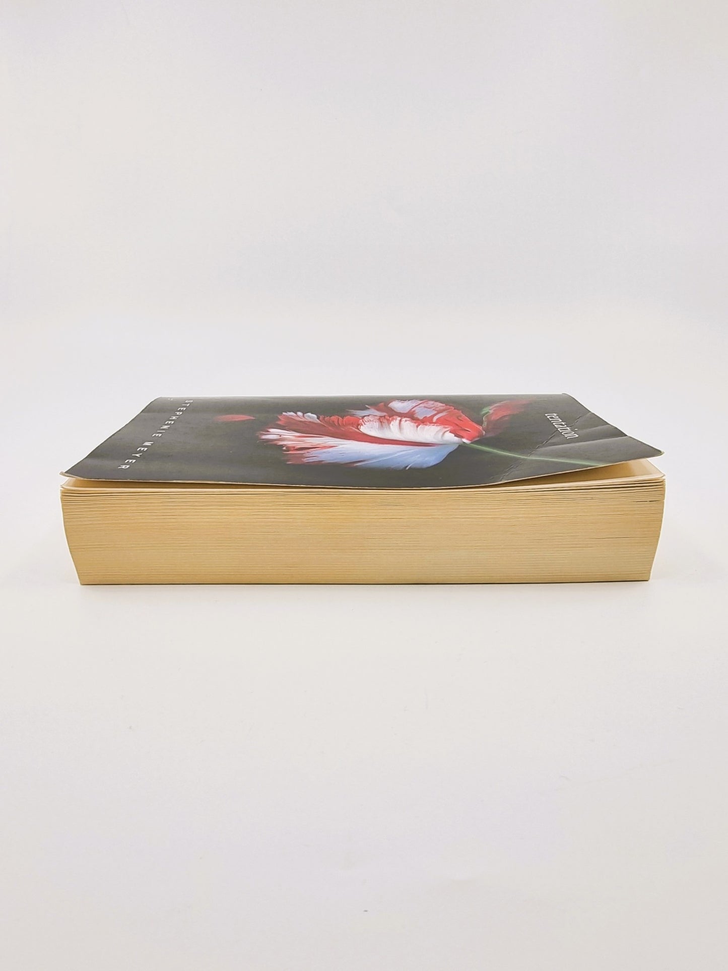 Livre - Tentation, Saga Twilight (tome 2)