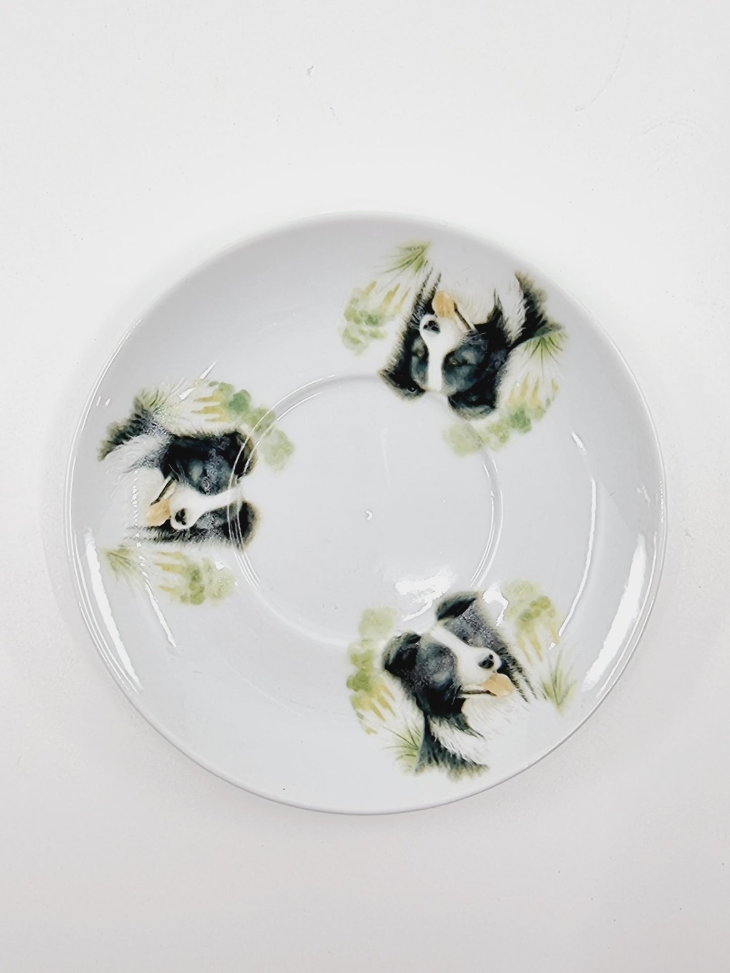 Théière avec soucoupe & tasse - Border Collie