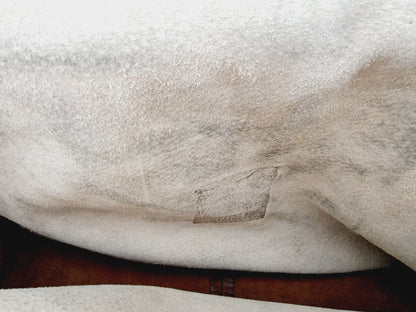 Sacoche/besace en cuir