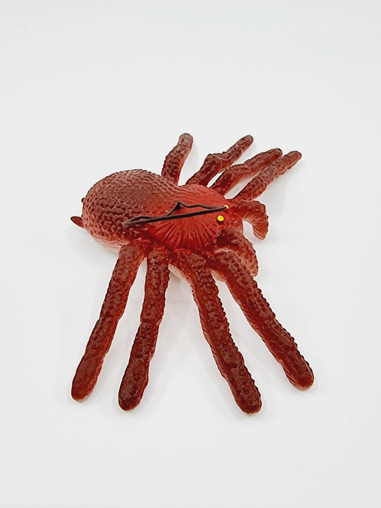 Araignée en plastique
