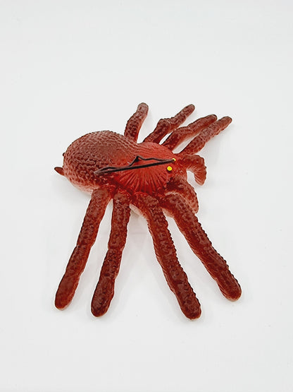 Araignée en plastique