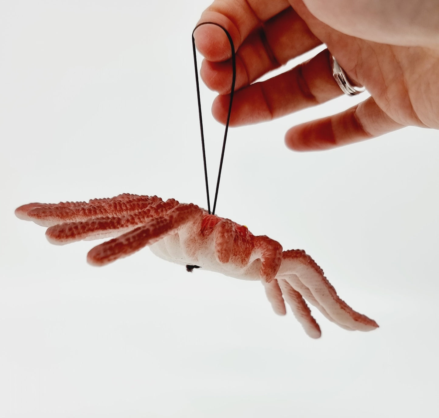 Araignée en plastique