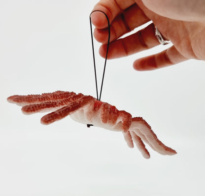 Araignée en plastique