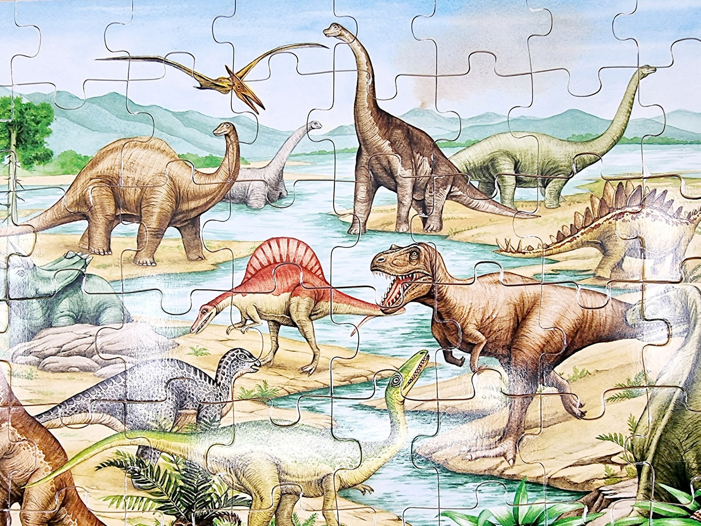 Puzzle en bois - Dinosaures