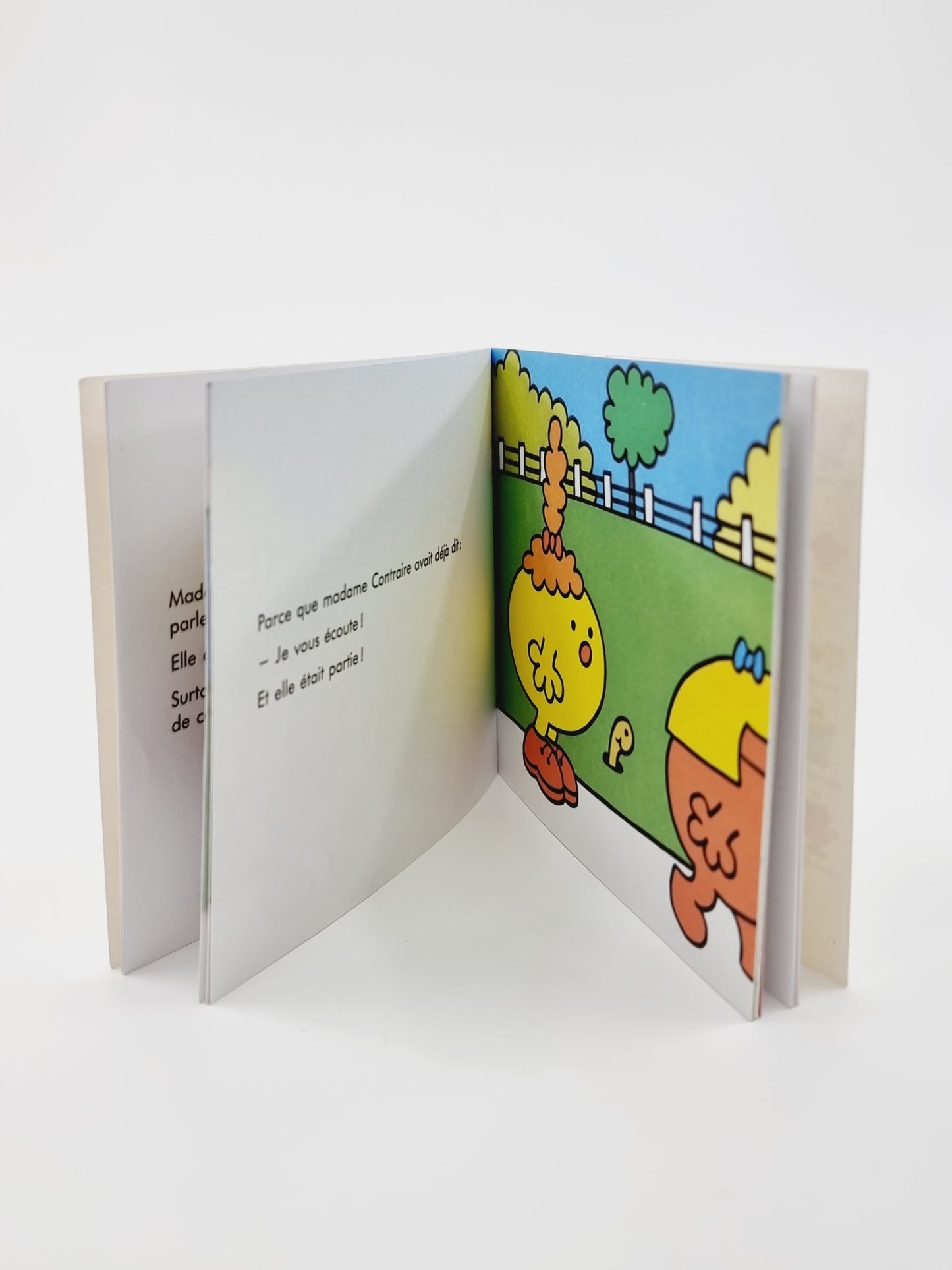 Livre - Mme Casse-pieds