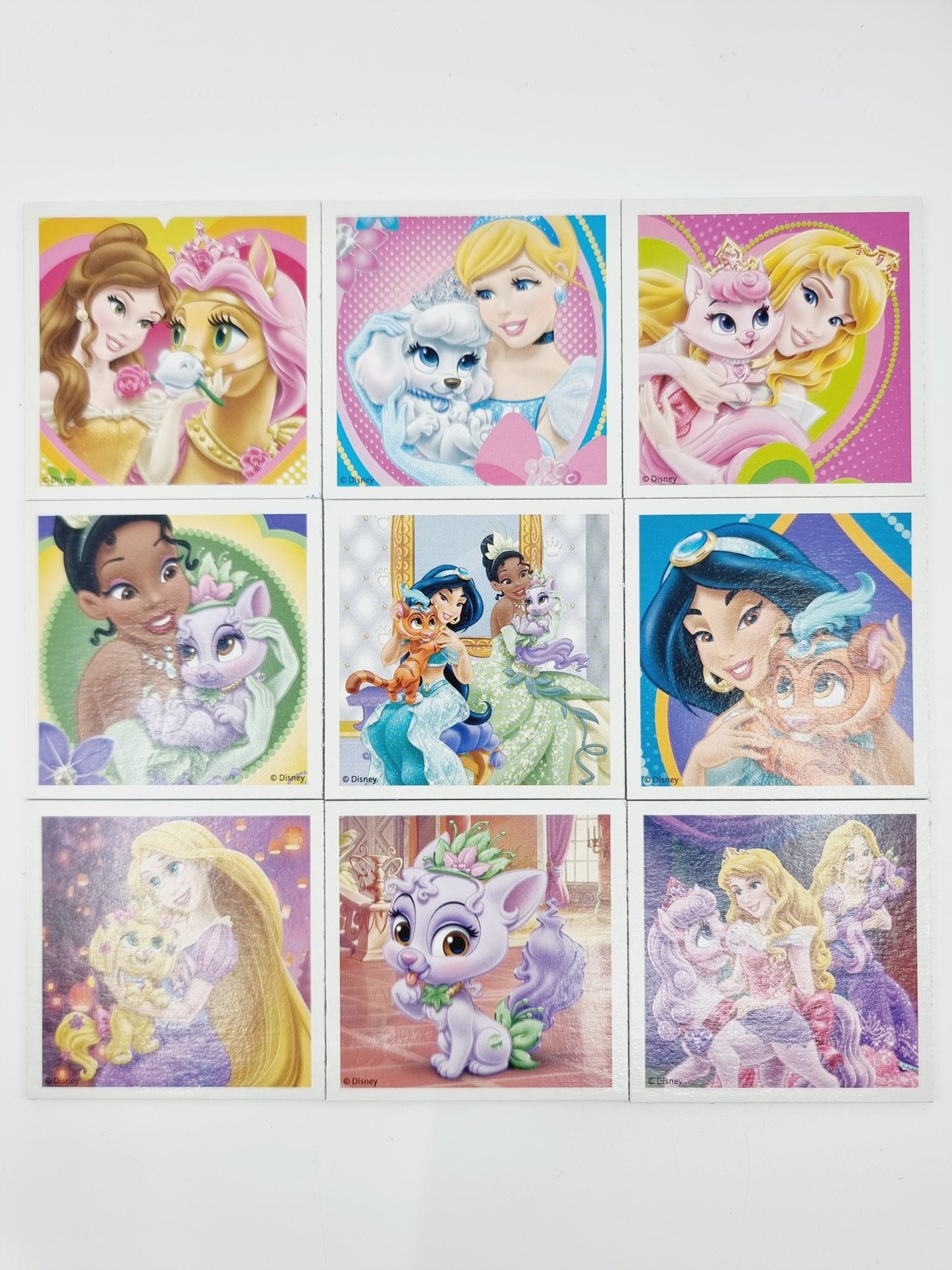 Memory - Palace Pets