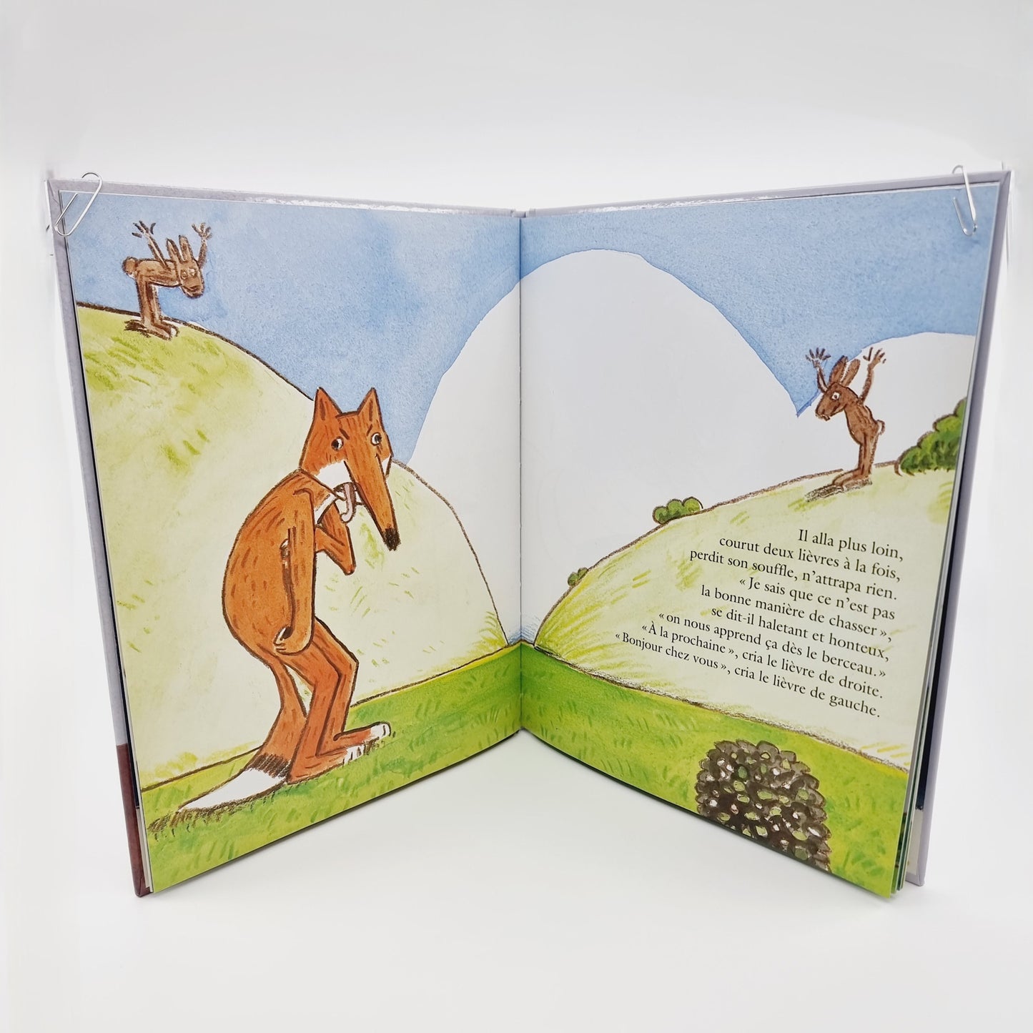 Livre - Bon appétit Monsieur Renard