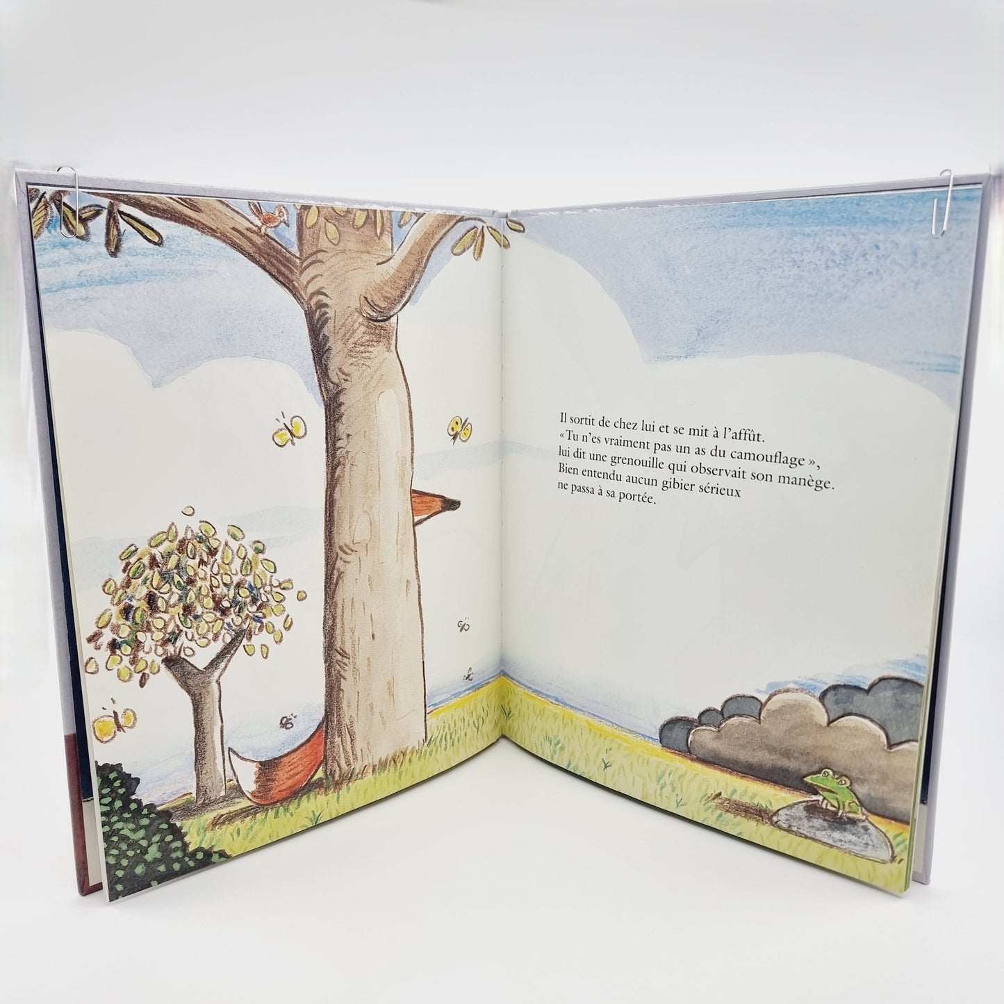 Livre - Bon appétit Monsieur Renard