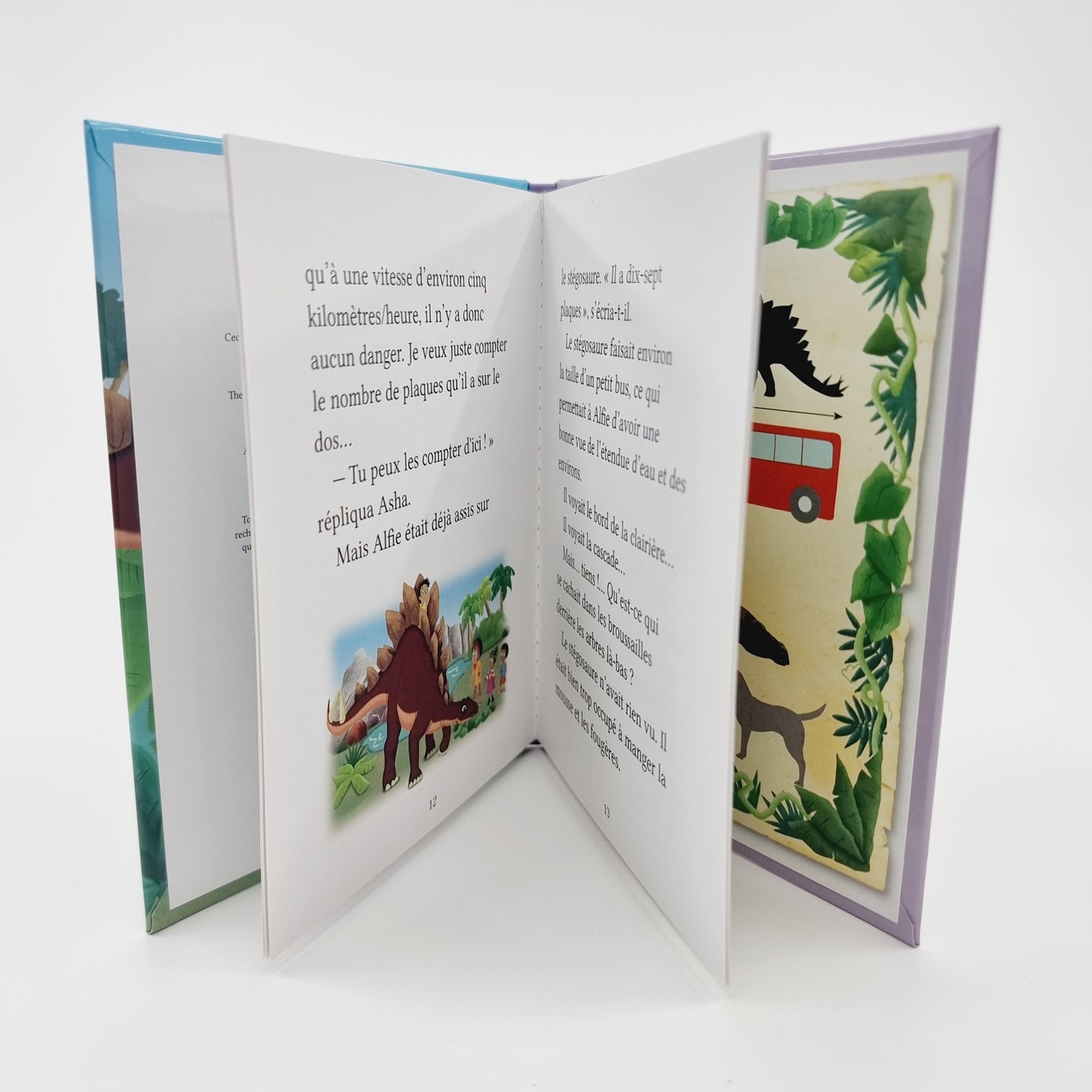 Livre - Les aventures des jumeaux Ciméon, Les jumeaux viennent au secours d’un stégosaure