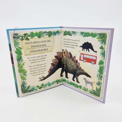 Livre - Les aventures des jumeaux Ciméon, Les jumeaux viennent au secours d’un stégosaure