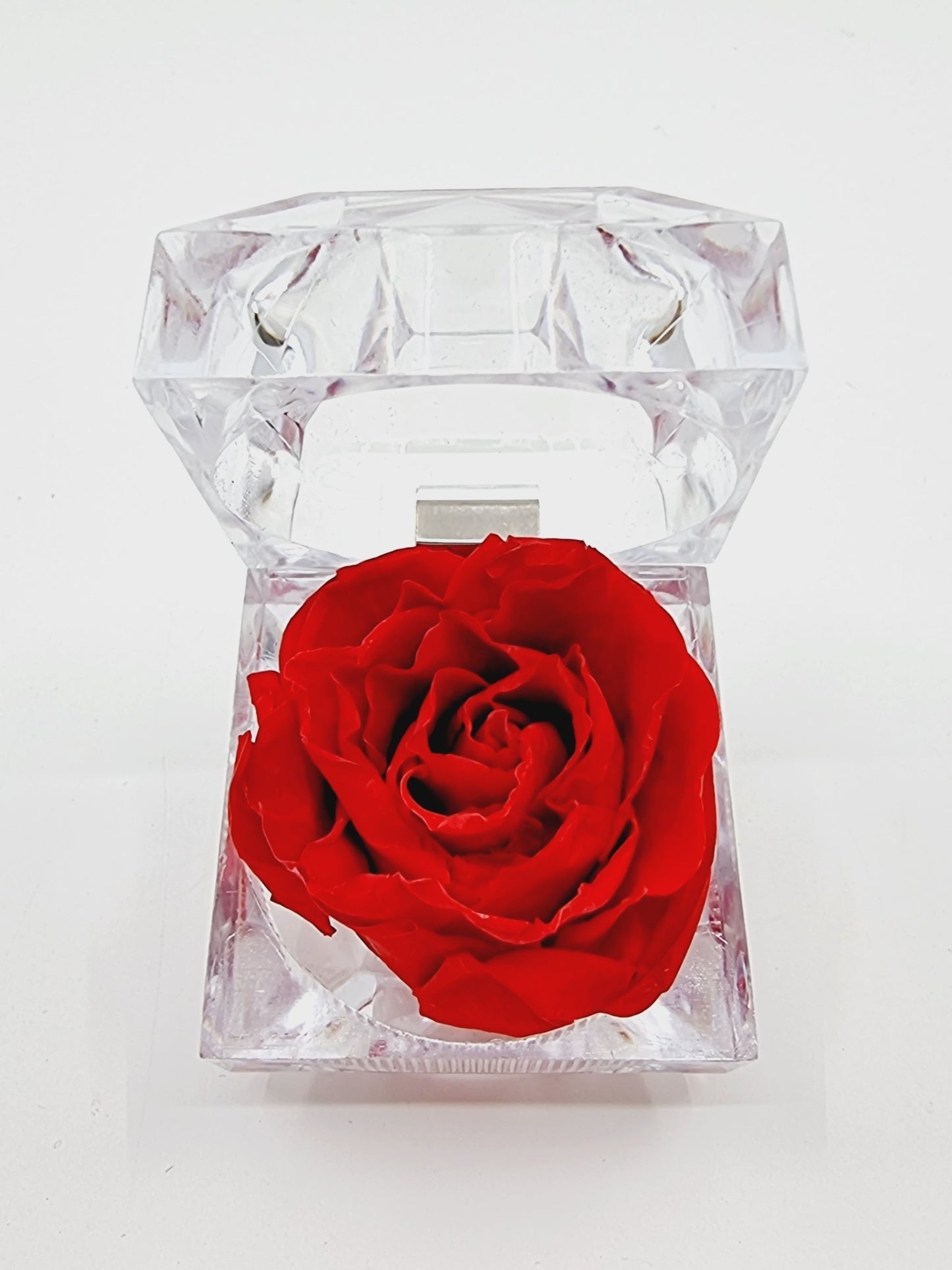 Rose éternelle dans son écrin - rouge