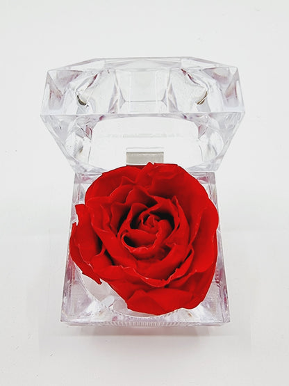 Rose éternelle dans son écrin - rouge