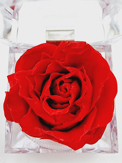 Rose éternelle dans son écrin - rouge