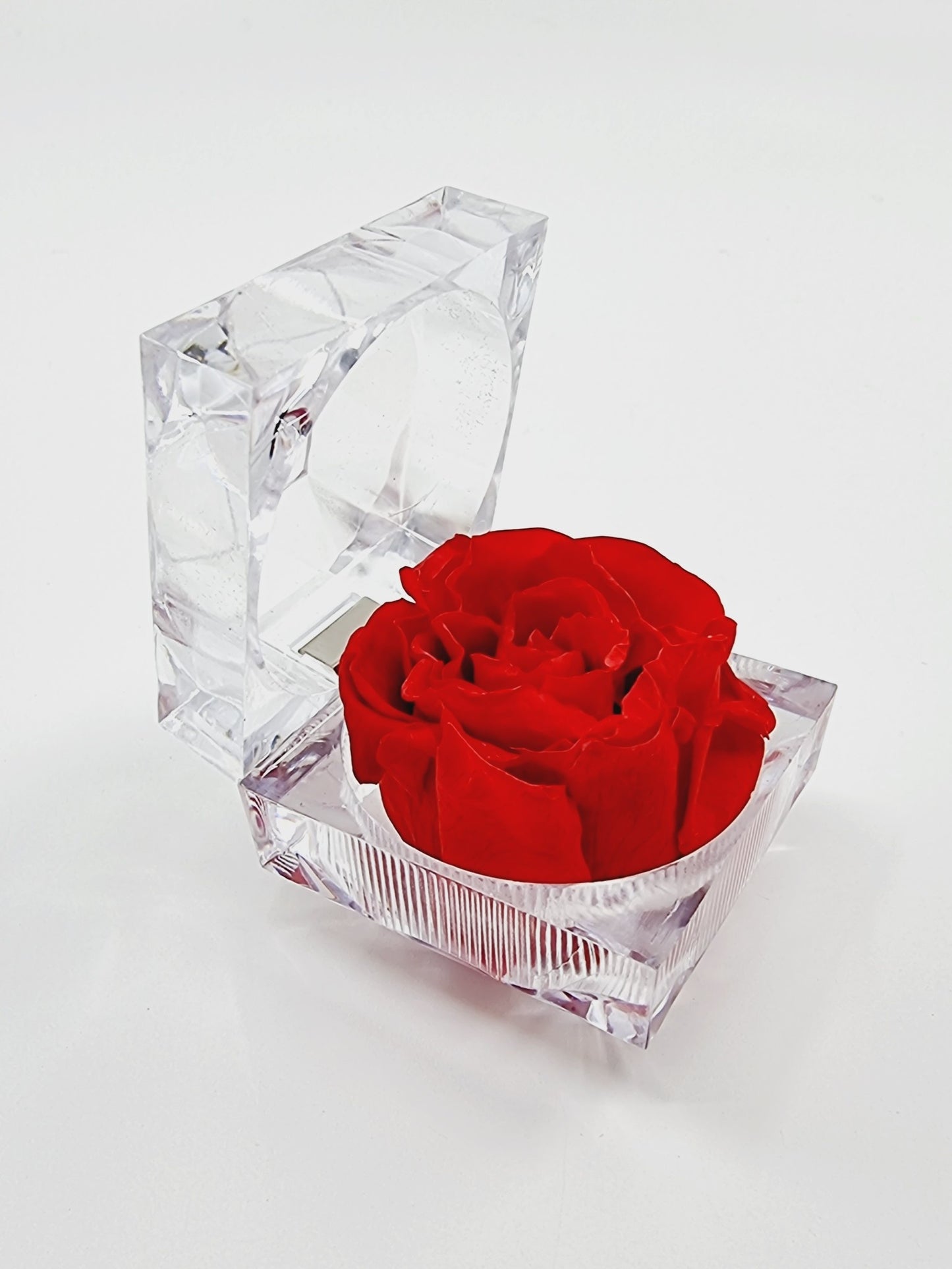 Rose éternelle dans son écrin - rouge