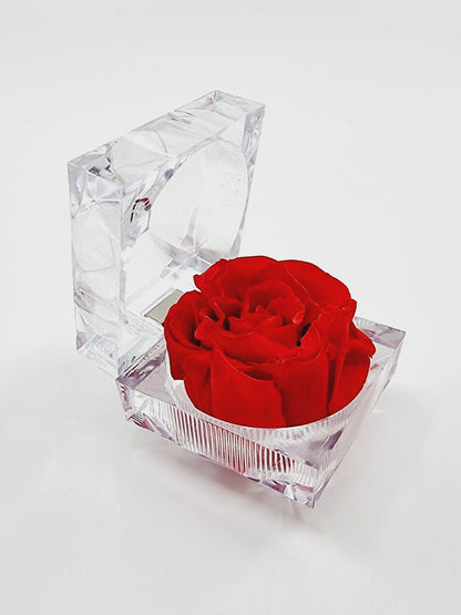 Rose éternelle dans son écrin - rouge