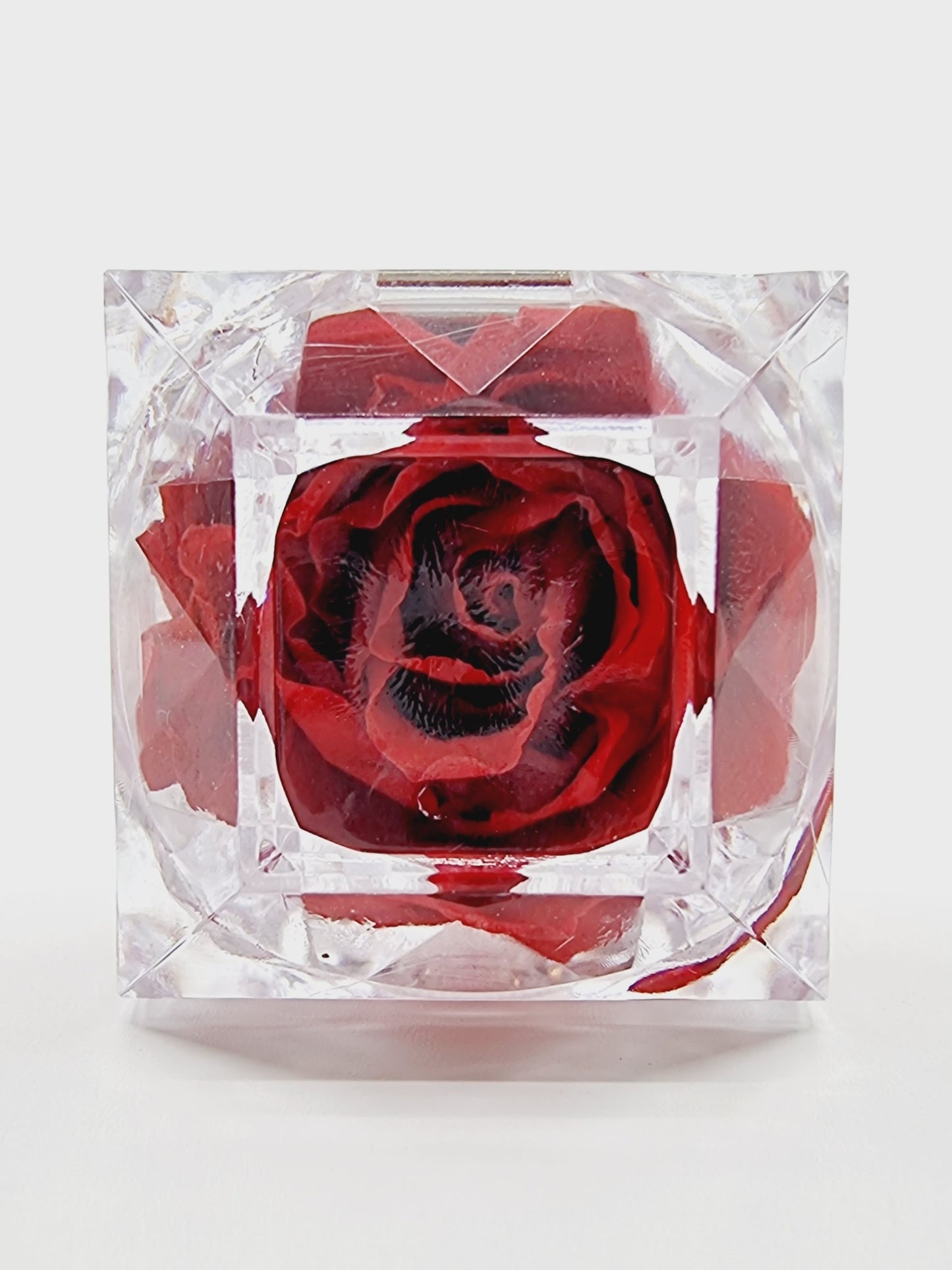 Rose éternelle dans son écrin - rouge