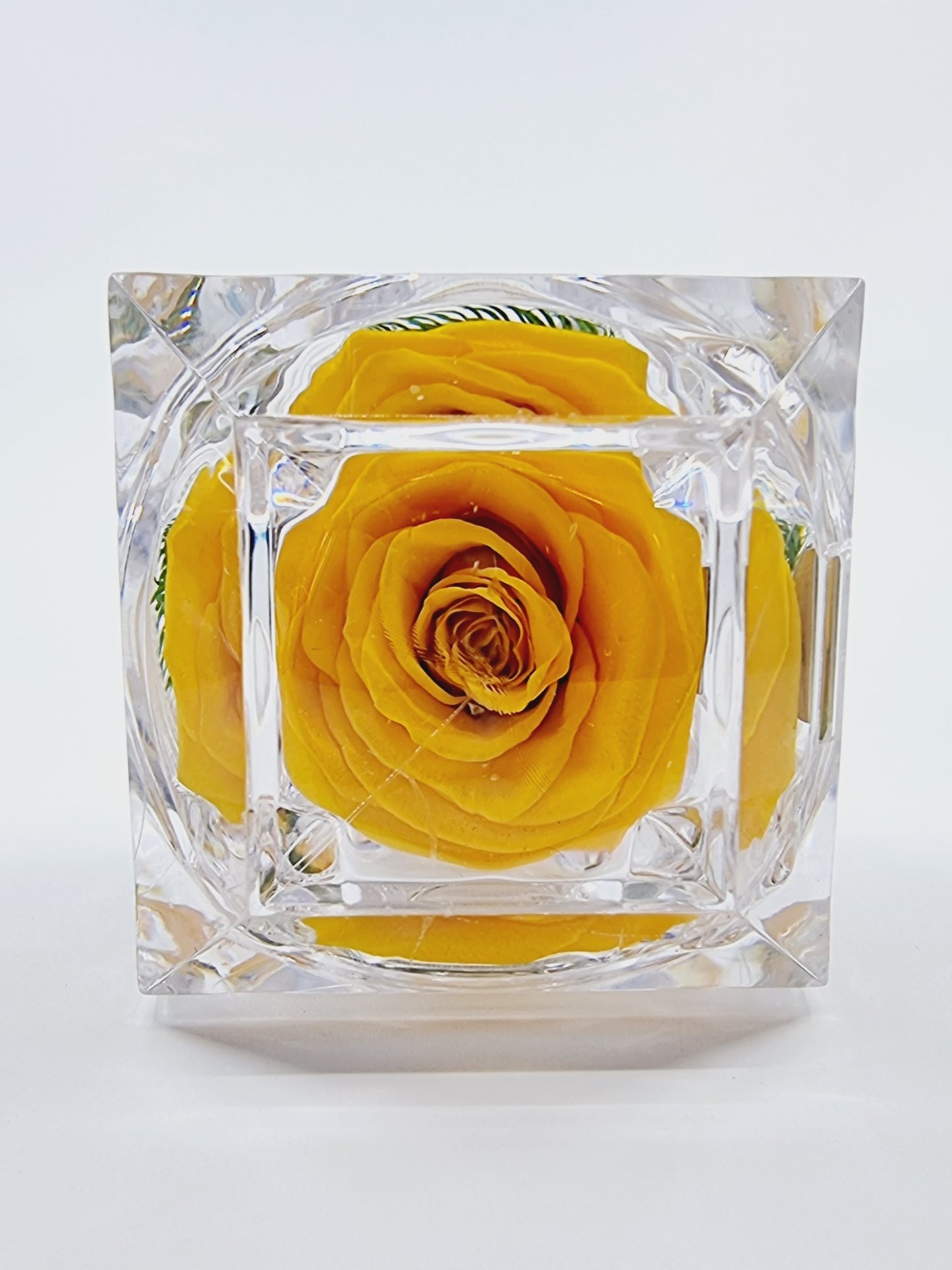 Rose éternelle dans son écrin - jaune