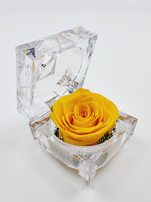 Rose éternelle dans son écrin - jaune