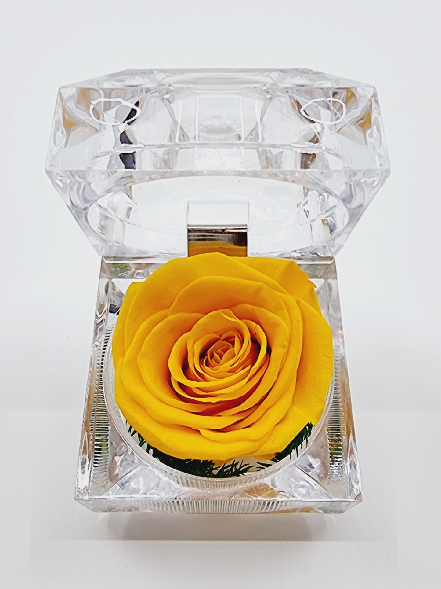 Rose éternelle dans son écrin - jaune