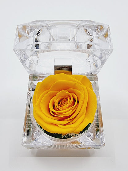Rose éternelle dans son écrin - jaune