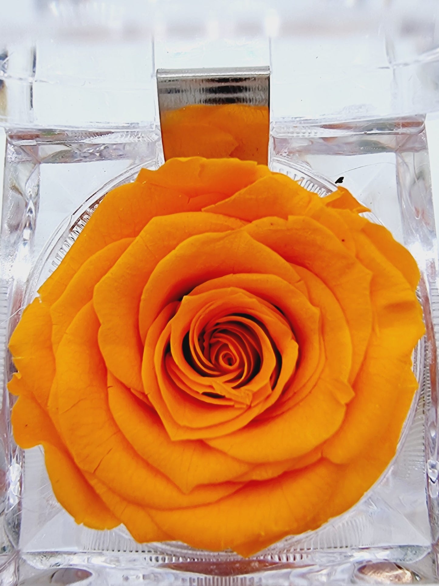 Rose éternelle dans son écrin - orange