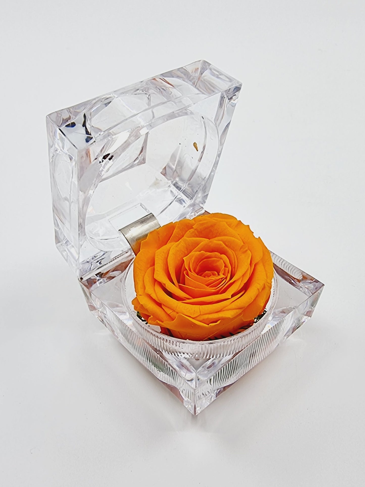 Rose éternelle dans son écrin - orange