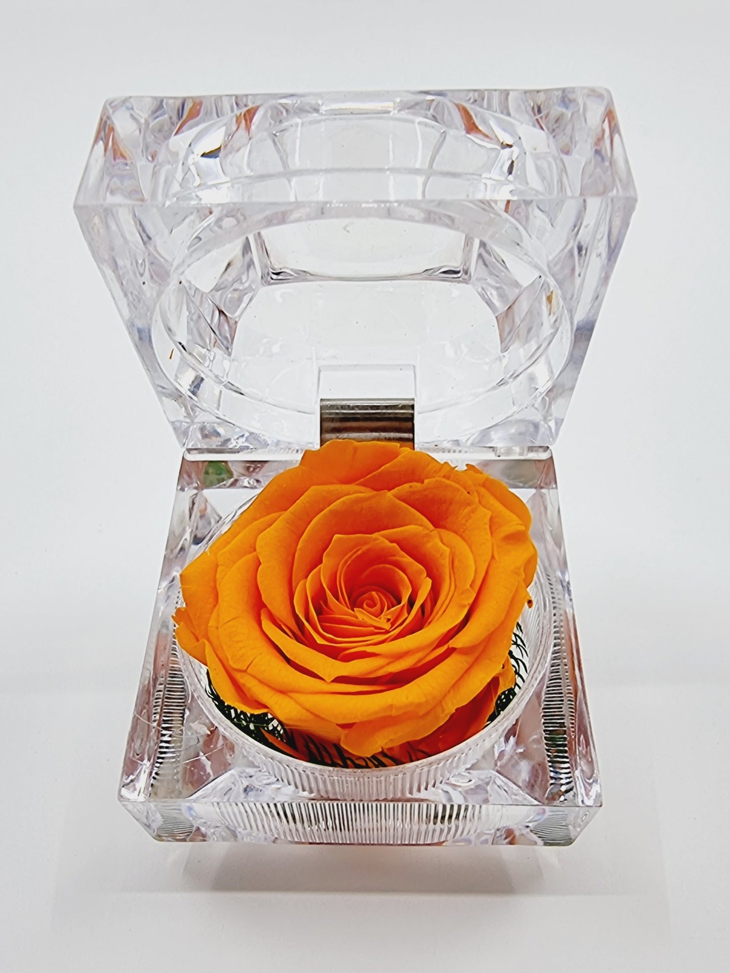 Rose éternelle dans son écrin - orange