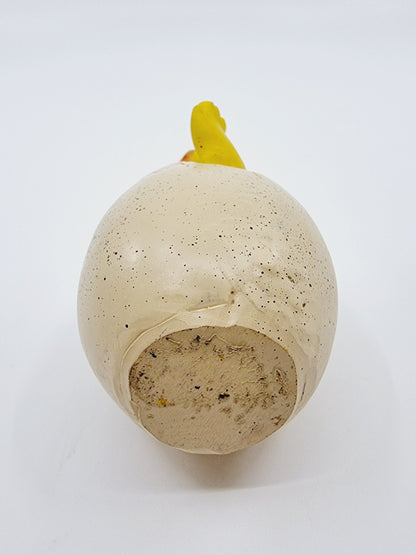 Poussin dans sa coquille