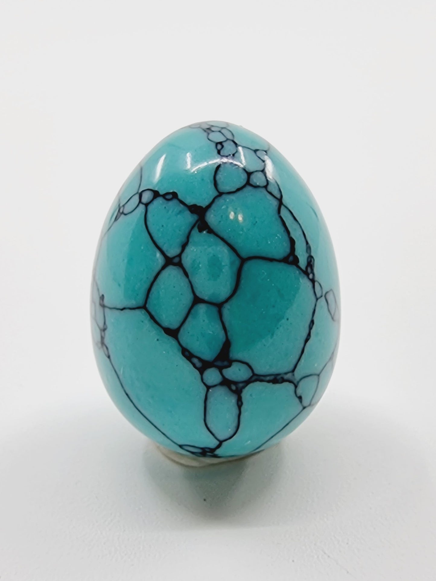 Oeuf en pierre naturelle - Howlite turquoise