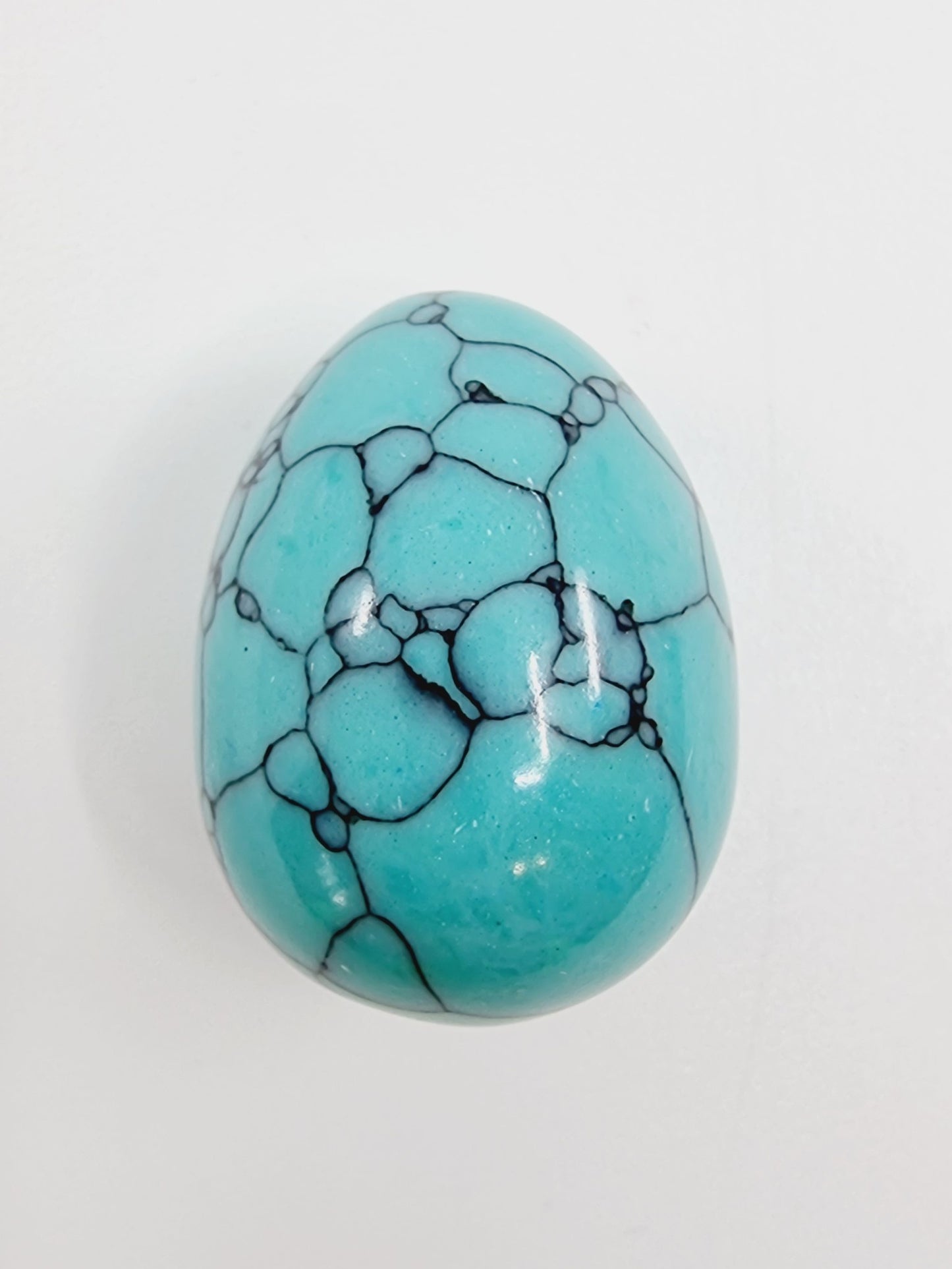 Oeuf en pierre naturelle - Howlite turquoise